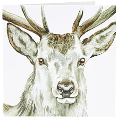 Image of Maturi Blank Greeting Card with Water Colour Stag Image, Multi Coloured (441043)