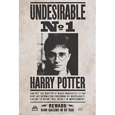 Image of ABYstyle HARRY POTTER Indésirable N1 Poster 91x61cm
