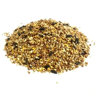 Image of Everyday Mixture 5kg Premium Wild Bird Food Garden Seed Feed