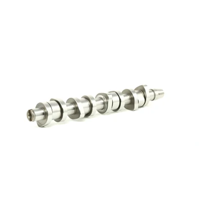 Image of 038109101R, 38109101R Camshaft FEBI BILSTEIN 29852 VOLKSWAGEN: Transporter 5, Golf Touran I, AUDI: A3 Sportback