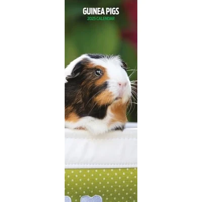 Image of Guinea Pig 2025 Slim Calendar