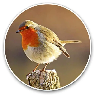 Image of 2 x 15cm Vinyl Stickers Robin Redbreast Bird Animals Birds Decals 8701
