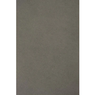 Image of Netuno 100 Sheets Coloured Paper Anthracite Grey DIN A4 210 x 297 mm 115 g Sirio Colour Craft Printable Colourful Clay Drawing for Crafts Printing