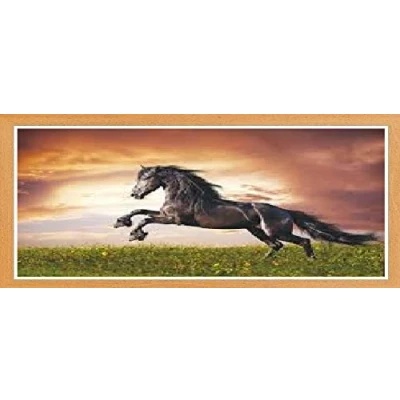 Image of Pine Panoramic Picture Frame Photo Poster Glass Real Wood 36&#039;&#039; x 16&#039;&#039;