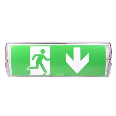 Image of LED Safety Lights, Protection Class: IP 65, exit/Emergency Sign, Illuminated