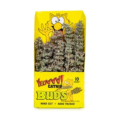 Image of YEOWWW Natural Powerful Catnip Buds for Indoor and Outdoor Cats Naturally Grown in North America Very Strong Your Will Love to Eat Them