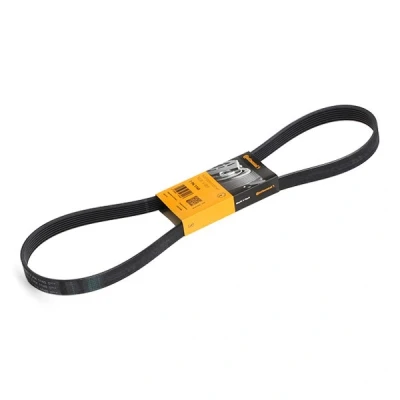 Image of 8200200666 V ribbed belt CONTITECH 7PK1145 1145mm 7 NISSAN: Qashqai 2, MICRA 3, Note I, RENAULT: MASTER 2 Kasten, Bus