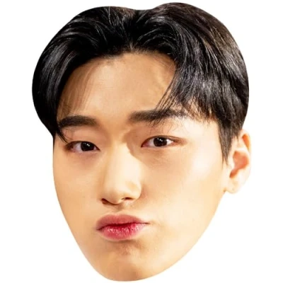Image of San (Short Hair) Celebrity Mask, Flat Card Face, Fancy Dress Mask