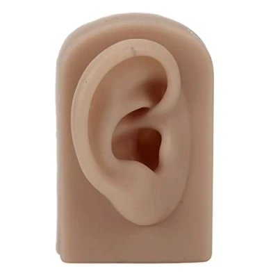 Image of Ear Model, Soft Silicone Right Human Model Rubber Fake for Jewelry Display, Flexible Artificial Real Mold, Display Teaching Aid Piercing Practice, Acupuncture(Brown)