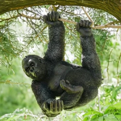 Image of THE ENCHANTED Garden Hanging Gorilla Large Statue Black Resin Outdoor Ornament