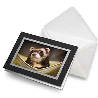 Image of Greeting Cards Black (Insert) Ferret Hammock Pet Rodent Animal Blank Greetings Card Birthday Kids Party Boys Girls #16329