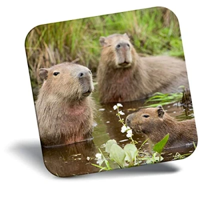 Image of Destination Vinyl ltd Fridge Magnet Capybara Swimming Family 21314