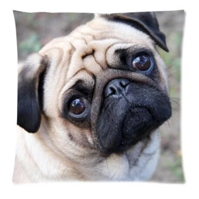 Image of Sharefashion Christmas Snowman Custom Zippered (Two sides) Pillowcase Pillow Cover (Pug Dog(18*18inc))