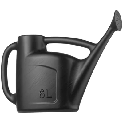 Image of Hardys 6L Black Rose Watering Can Outdoor &amp; Indoor with Detachable Sprinkler Head, Long Spout Water for Houseplant Garden Plants