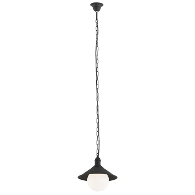 Image of Erba Bis Dome Pendant Ceiling Light Black Structure IP44