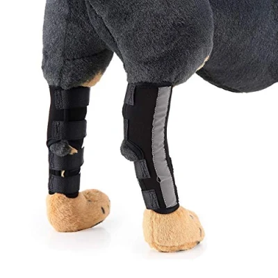 Image of Zunea Dog Canine Rear Leg Brace with Safety Reflective Strap Hind Compression Sleeve Hock Joint Wrap Protector and Extra Supportive for Stability, Wound Injury, Sprain Healing Black M