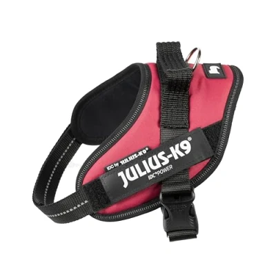 Image of IDC Powerharness, Size: S/Mini, Viva Magenta