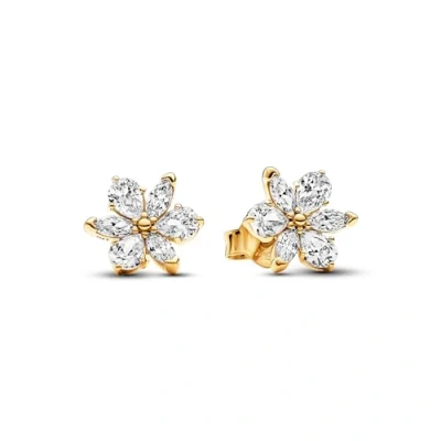 Image of Pandora Timeless Herbarium cluster 14k gold plated stud earrings with clear cubic zirconia