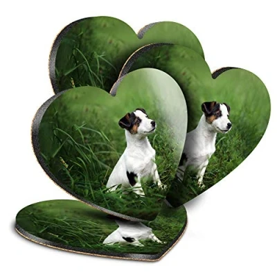 Image of Destination Vinyl ltd Great Coasters (Set of 4) Heart Jack Russell Terrier Dog Puppy Drink Glossy Coasters/Tabletop Protection for Any Table Type #16927