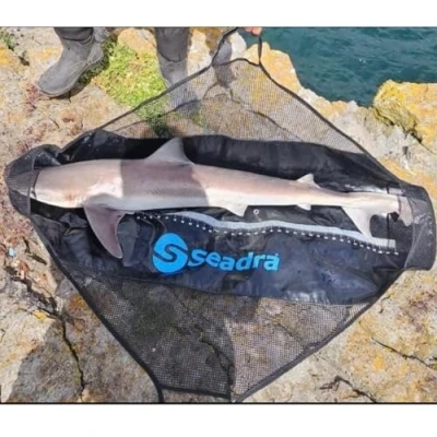 Image of Seadra Weigh and Measure Sling Specimen 120cm
