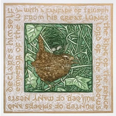 Image of Wren bird themed greeting card, blank on the inside by Colin Blanchard. Brown fleck envelope included