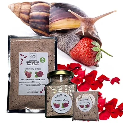 Image of Bugznbits Giant African Land Snail Food, 100% Organic Blend with Strawberry &amp; Rose, Also Great for Millipedes Hermit Crabs (210ml Refillable Jar)