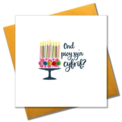 Image of Pom Pom&quot;Who&#039;s Counting Anyway? Birhday Cake&quot; Birthday Card, WPOM012