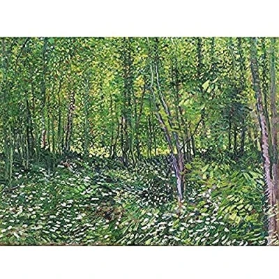 Image of Vincent Van Gogh Trees And Undergrowth Unframed Wall Art Print Poster Home Decor Premium