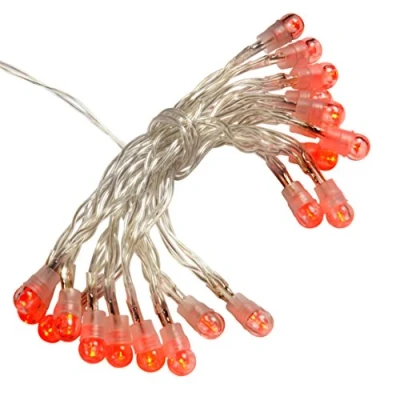 Image of WeRChristmas Battery Operated LED Lights String, 20 Piece Red Berry
