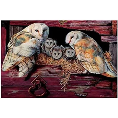 Image of WYWQN 5D Diamond Painting Full Drill Adults Picture Cross Stitch Arts Beads Pasted Craft DIY for Home Wall Decor Barn Owls 30x40CM