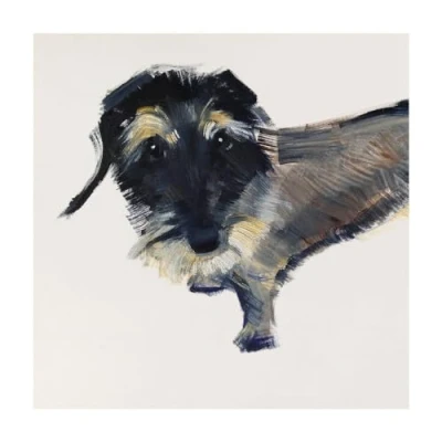 Image of Daphne Dachshund by Sally Muir Blank Greeting Card with Envelope