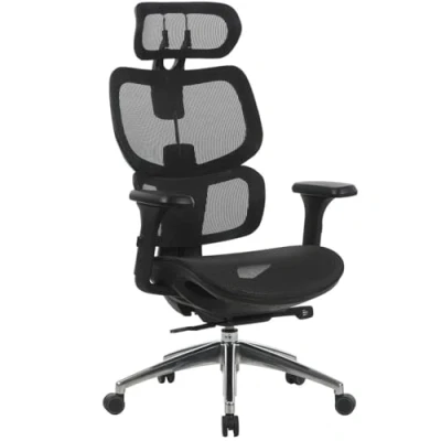 Image of Office Furniture Online Ergonomic Mesh Chair Tokyo High Back Task Split Lumbar Support, Adjustable Armrests, Headrest &amp; Seat Height (Black)