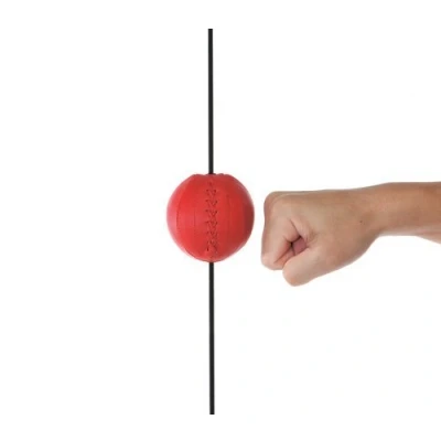Image of Winning Punching Ball SB 9000