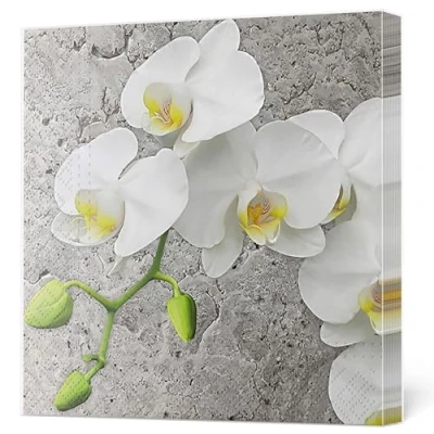 Image of Maki 3 Ply Flowery Tissue Paper Napkins Serviettes for Decoupage Lunch 33cm x Pack of 20 (White Orchid on Concrete Background)
