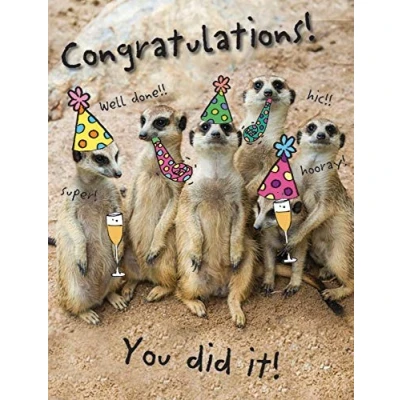 Image of Piccadilly Greetings Humour Occasion Card Congratulations 8 x 6 inches, beigebrownyellowblack
