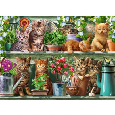 Image of Ravensburger Cats on the Shelf 500 Pieces Cat Jigsaw Puzzle for Adults and Kids Age 10 Years Up Animals
