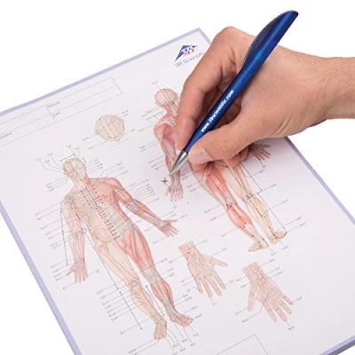 Image of 3B Scientific 1017883 Acupuncture Meridian Notepad, English