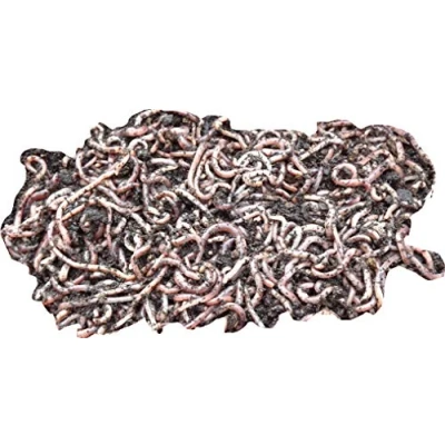 Image of Yorkshire worms small DENDROBAENA Pack Suitable for Composting, Wormery Starter Packs (350g)