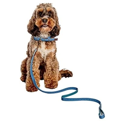 Image of Fatface Spotty Bees Woven Genuine Leather Trim Metal Buckle Blue Dog/Puppy Collar Small 15mm 35 45 cm