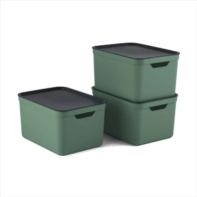 Image of Rotho Jive Dekobox Set of 3 storage box 16l with lid, Kunststoff (PP recycelt), green/anthracite, 3x16l (36.5 x 20 27 cm)