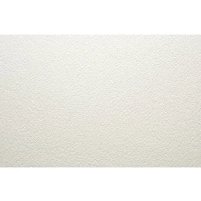 Image of 1 x Arches Aquarelle 185gsm (90lbs) NOT Full Imperial (56x76cm / 22x30&quot;)