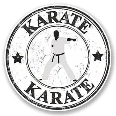Image of 2 x 10cm/100mm Karate Vinyl SELF Adhesive Sticker Decal Laptop Travel Luggage Car Bike Sign Fun #4795