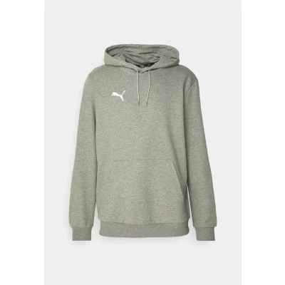 Image of PUMA teamGOAL Casuals Hoody
