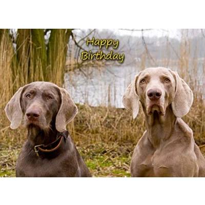 Image of Weimaraner Dog Birthday Card