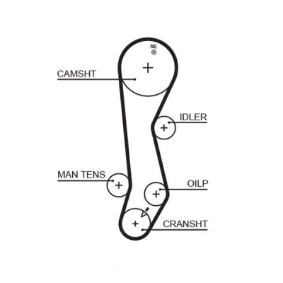 Image of 1356811100, 1356811101, 1356819115, 1356819116 Timing Belt GATES FleetRunner Micro V Stretch Fit 5389XS 128 1024mm 26mm