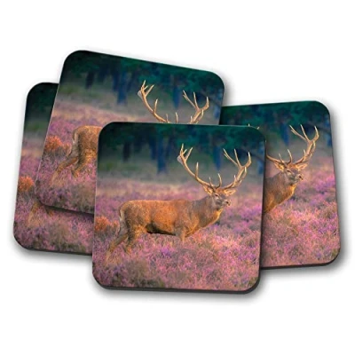 Image of 4 Set Beautiful Stag Coaster Deer Antlers Sunrise Forest #15313