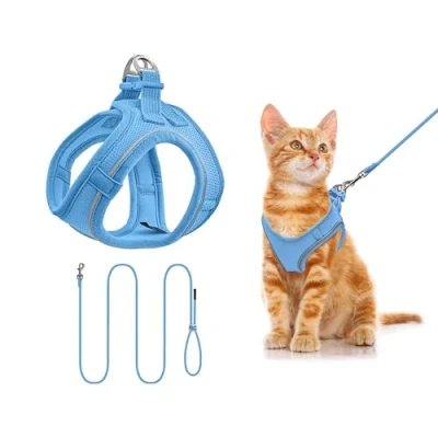 Image of Qianruida Dog Harness and Leash, Breathable, Reflective Step in for Dogs, Padded Comfort Soft Mesh Vest Small Cats Walking, Running (Blue XXXS)