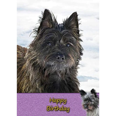 Image of Cairn Terrier Dog Birthday Card