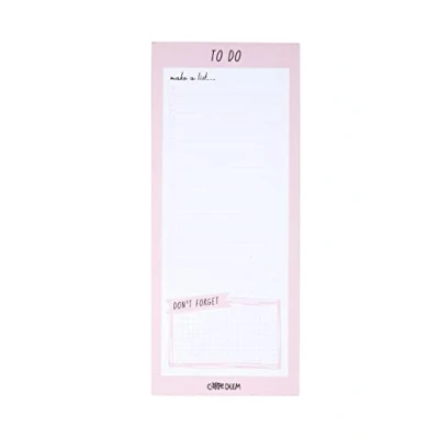 Image of Pukka Pad, Carpe Diem Magnetic To Do List 22 Lines for Chores, Goals, Groceries, Reminders, Appointments, and More with Additional ‘Don’t Forget’ Section 60 Sheets of Paper Ballerina Pink