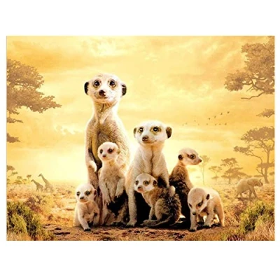 Image of 5D DIY Diamond Painting Kits Meerkat Family Full Drill Crystal Rhinestone Canvas Adults Cross Stitch Embroidery Mosaic Pictures Hand Crafts Wall Bedroom Home Decoration Gift 50x70cm/20x28in B7274